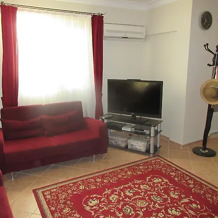 Oasis 8 *