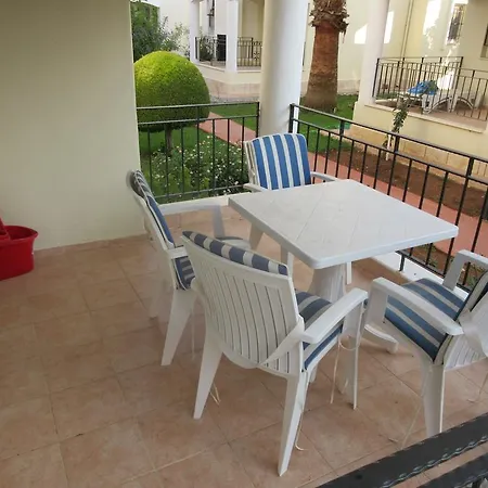 Oasis 8