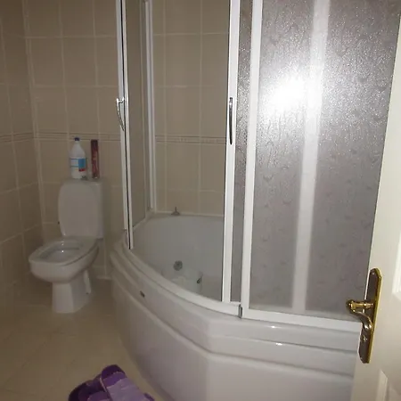 Oasis 8