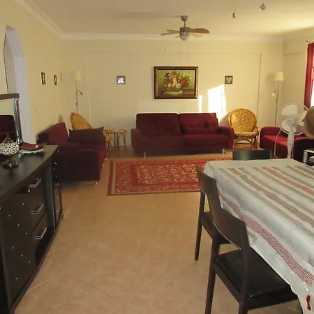 Oasis 8