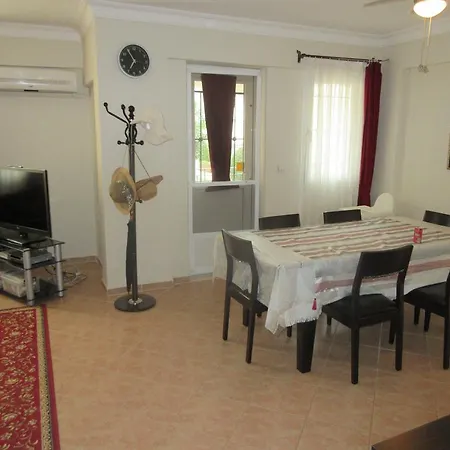 Oasis 8